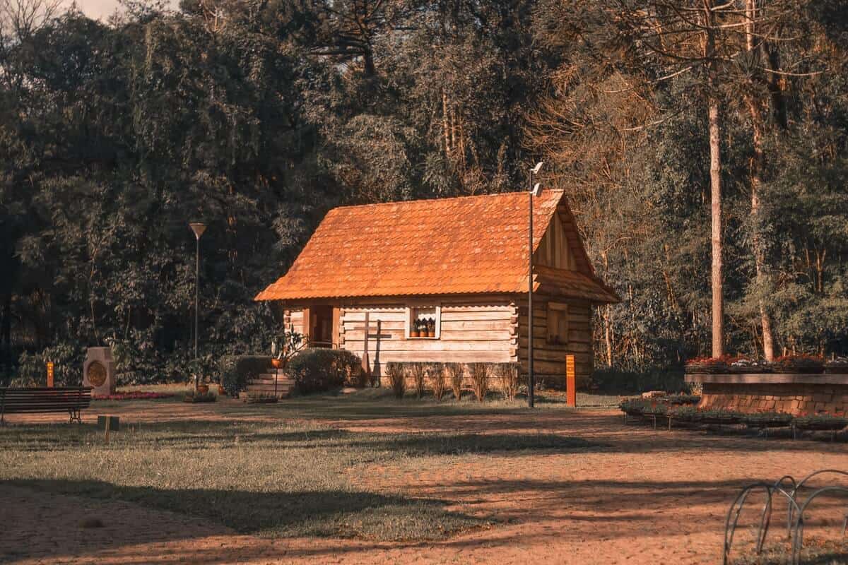 Czym charakteryzuje się dom z drewna?