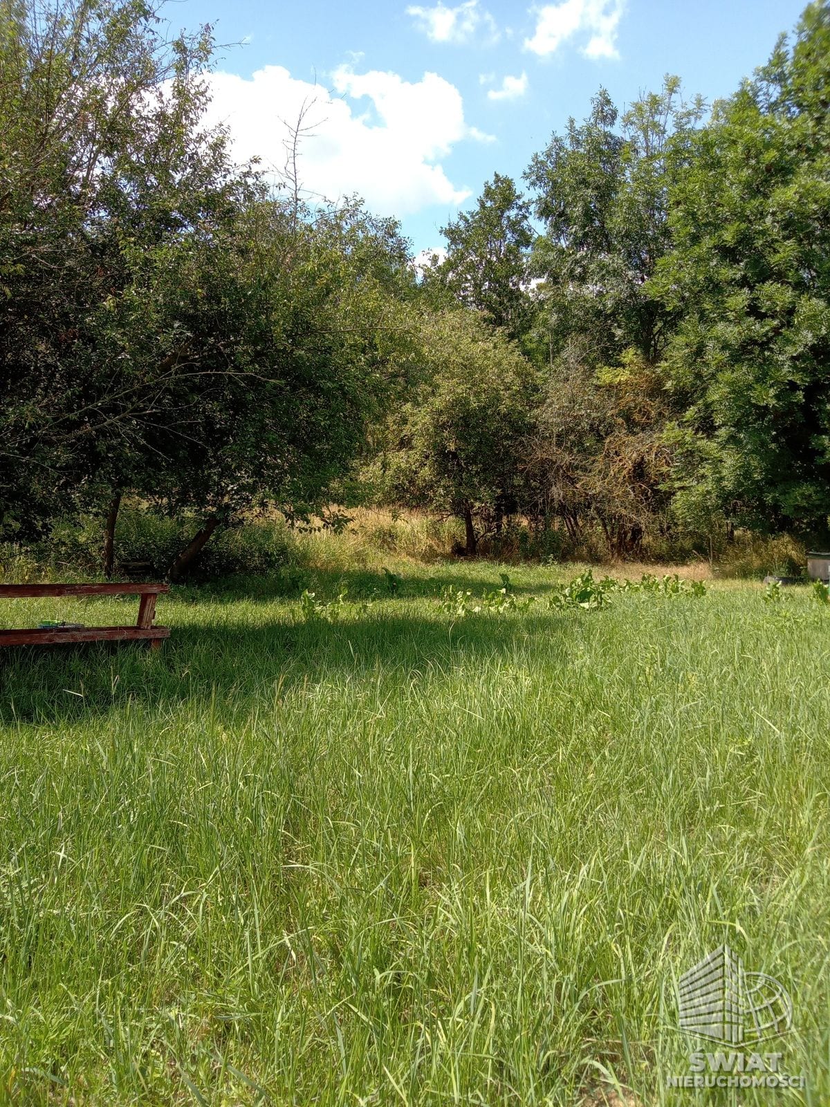 działka na sprzedaż - Dębina,  - ID 421841 | swiatnieruchomosci.pl