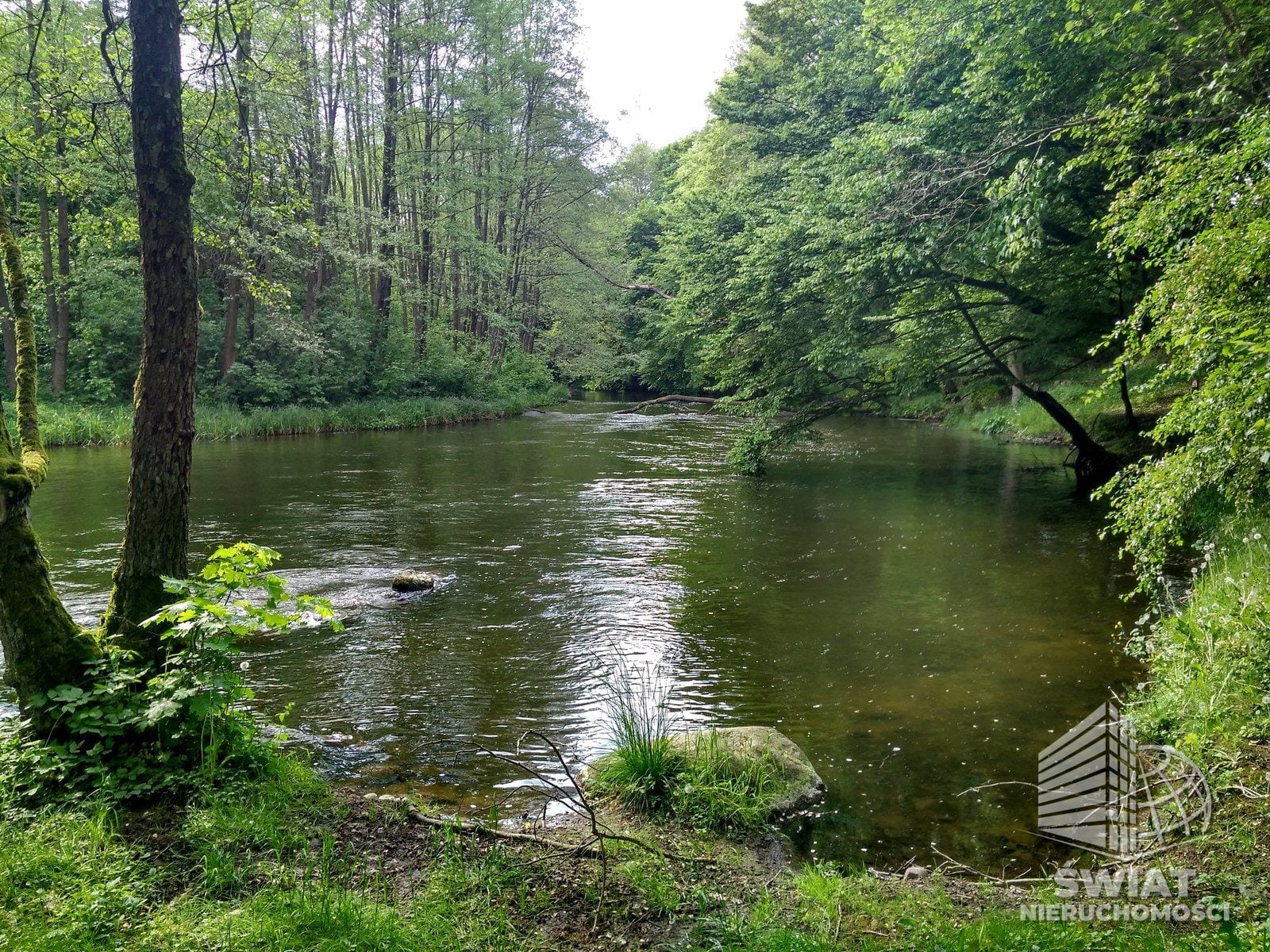 działka na sprzedaż - Barnimie,  - ID 423172 | swiatnieruchomosci.pl