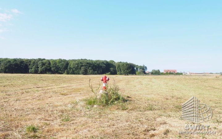 działka na sprzedaż - Śliwin,  - ID 424373 | swiatnieruchomosci.pl