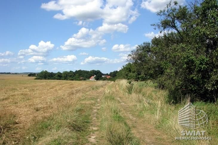 działka na sprzedaż - Barnisław,  - ID 435049 | swiatnieruchomosci.pl