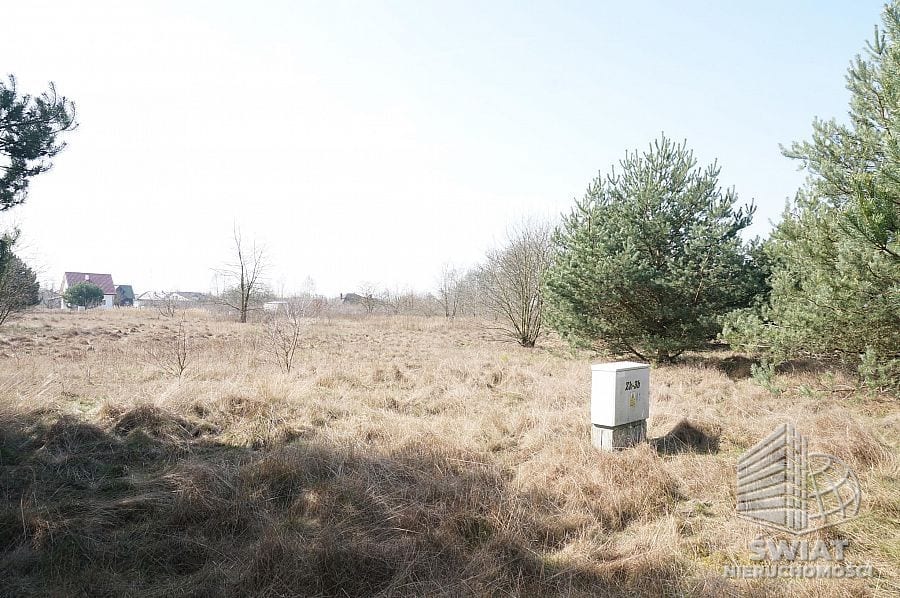 działka na sprzedaż - Rurzyca,  - ID 387365 | swiatnieruchomosci.pl