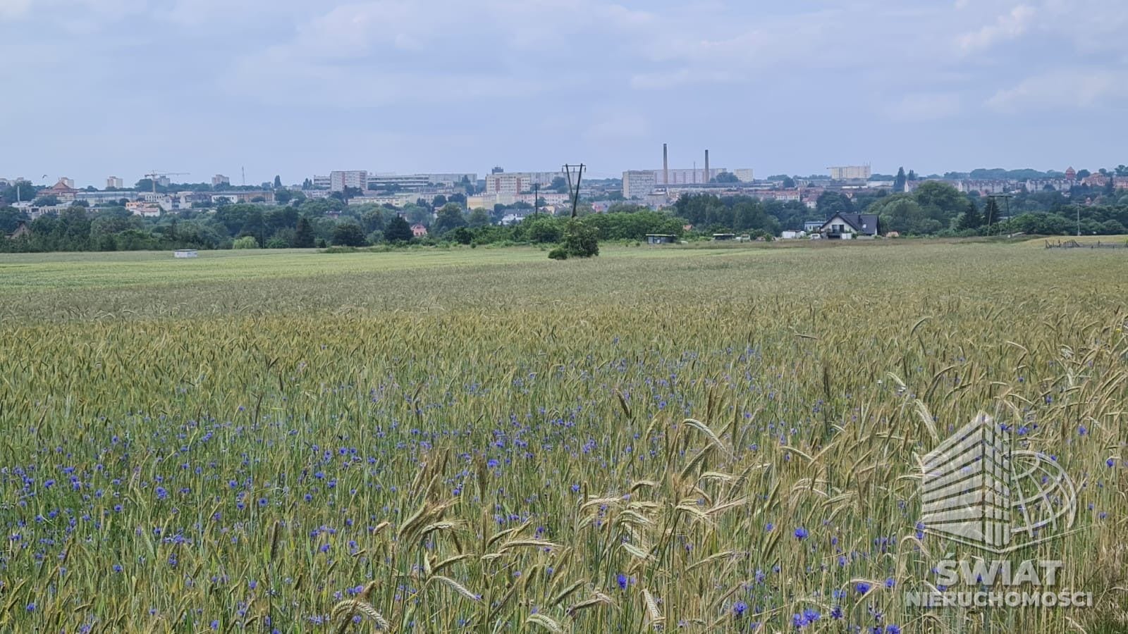 działka na sprzedaż - Stargard,  - ID 439468 | swiatnieruchomosci.pl