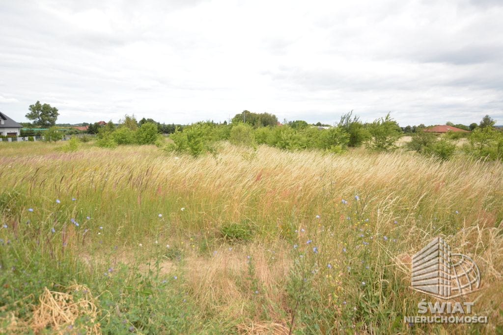 działka na sprzedaż - Wąwelnica,  - ID 439546 | swiatnieruchomosci.pl