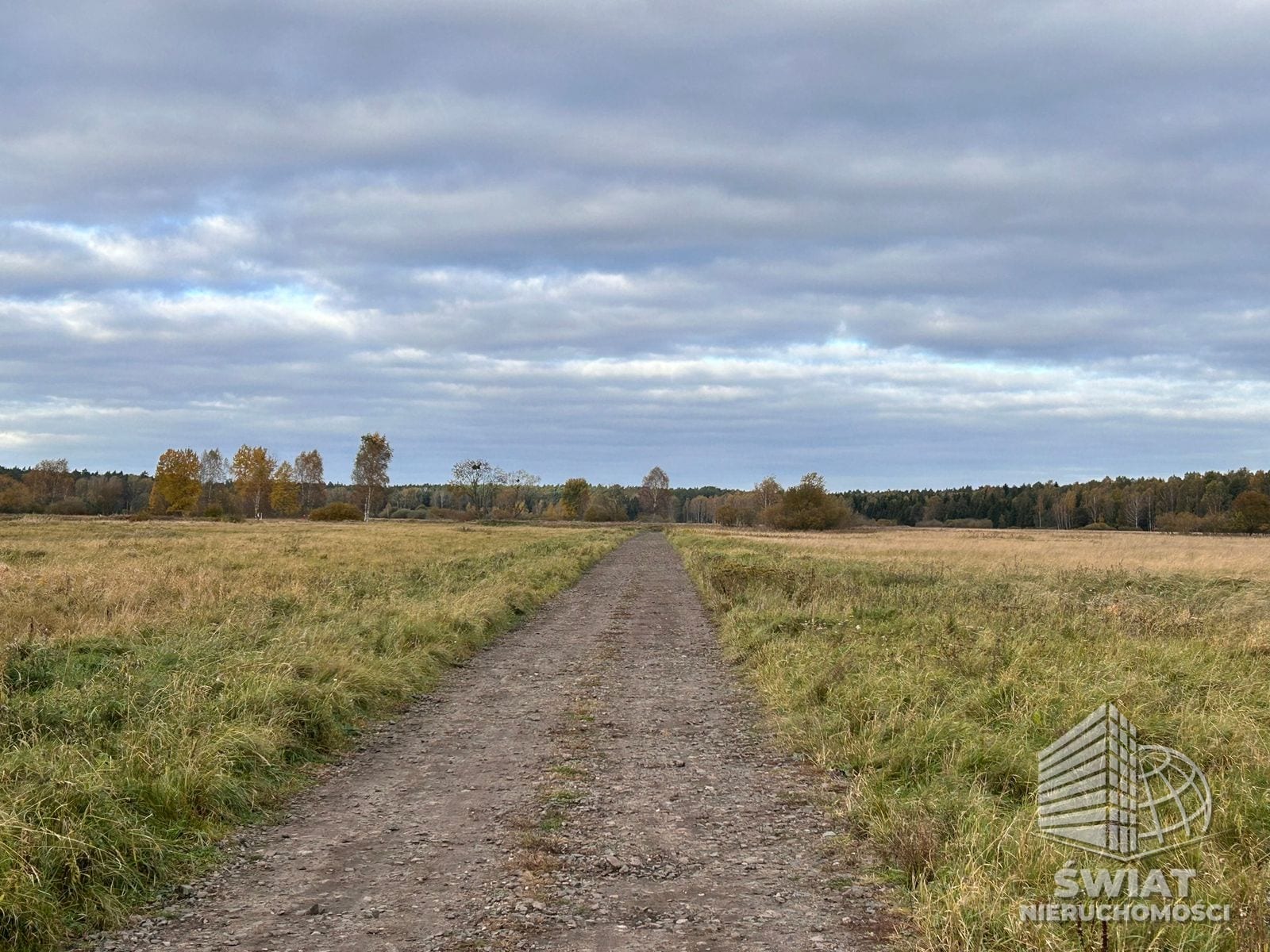 działka na sprzedaż - Niedźwiedź,  - ID 440163 | swiatnieruchomosci.pl