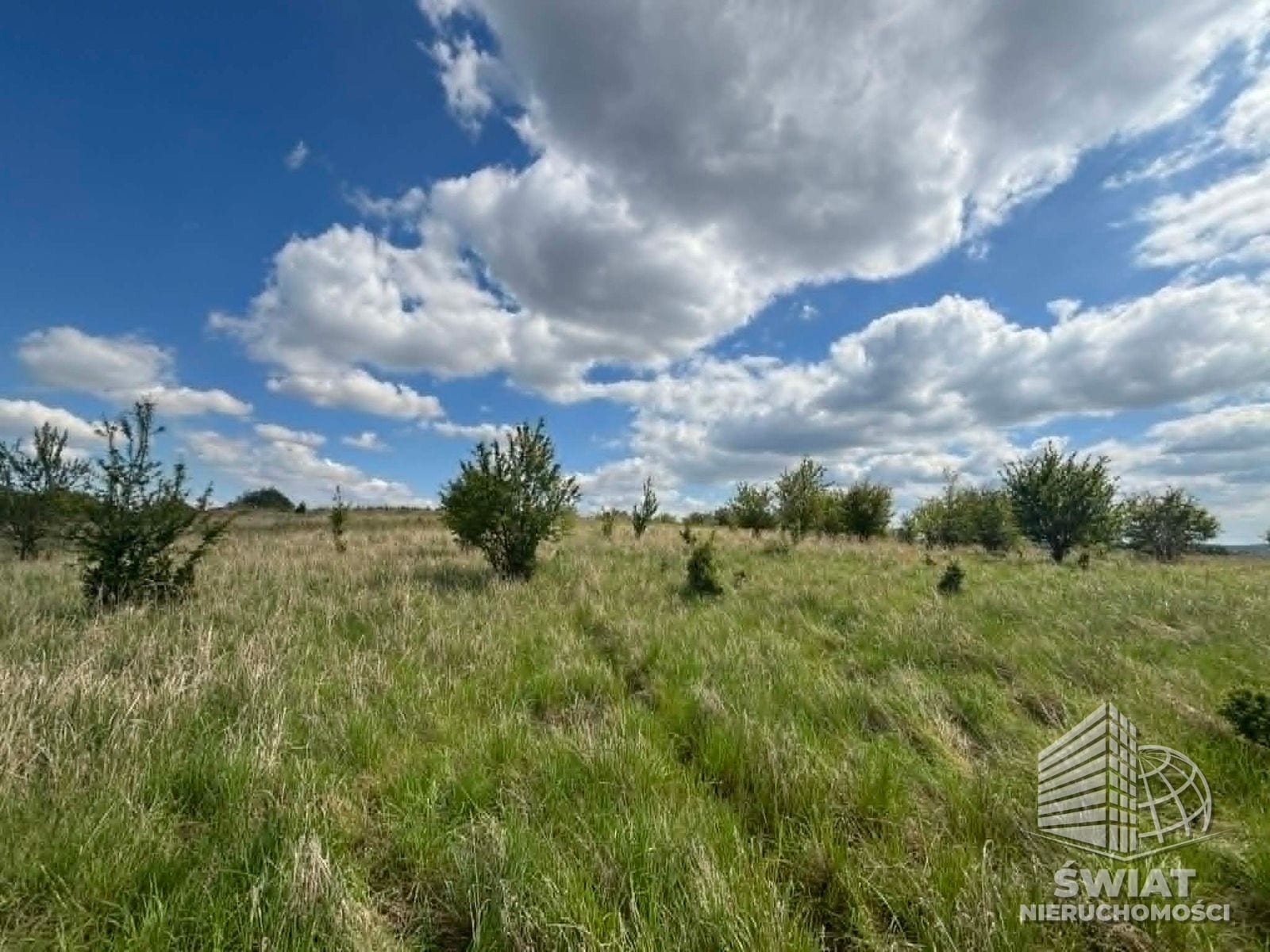 działka na sprzedaż - Gryfino,  - ID 440663 | swiatnieruchomosci.pl