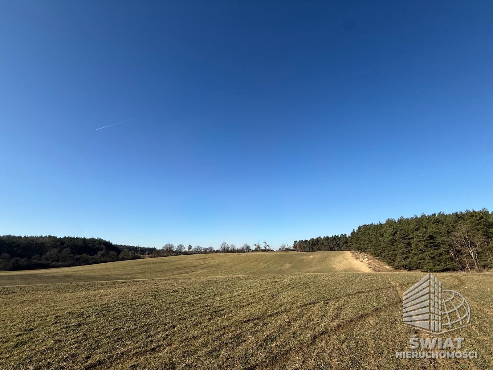 działka na sprzedaż - Buk,  - ID 442577 | swiatnieruchomosci.pl
