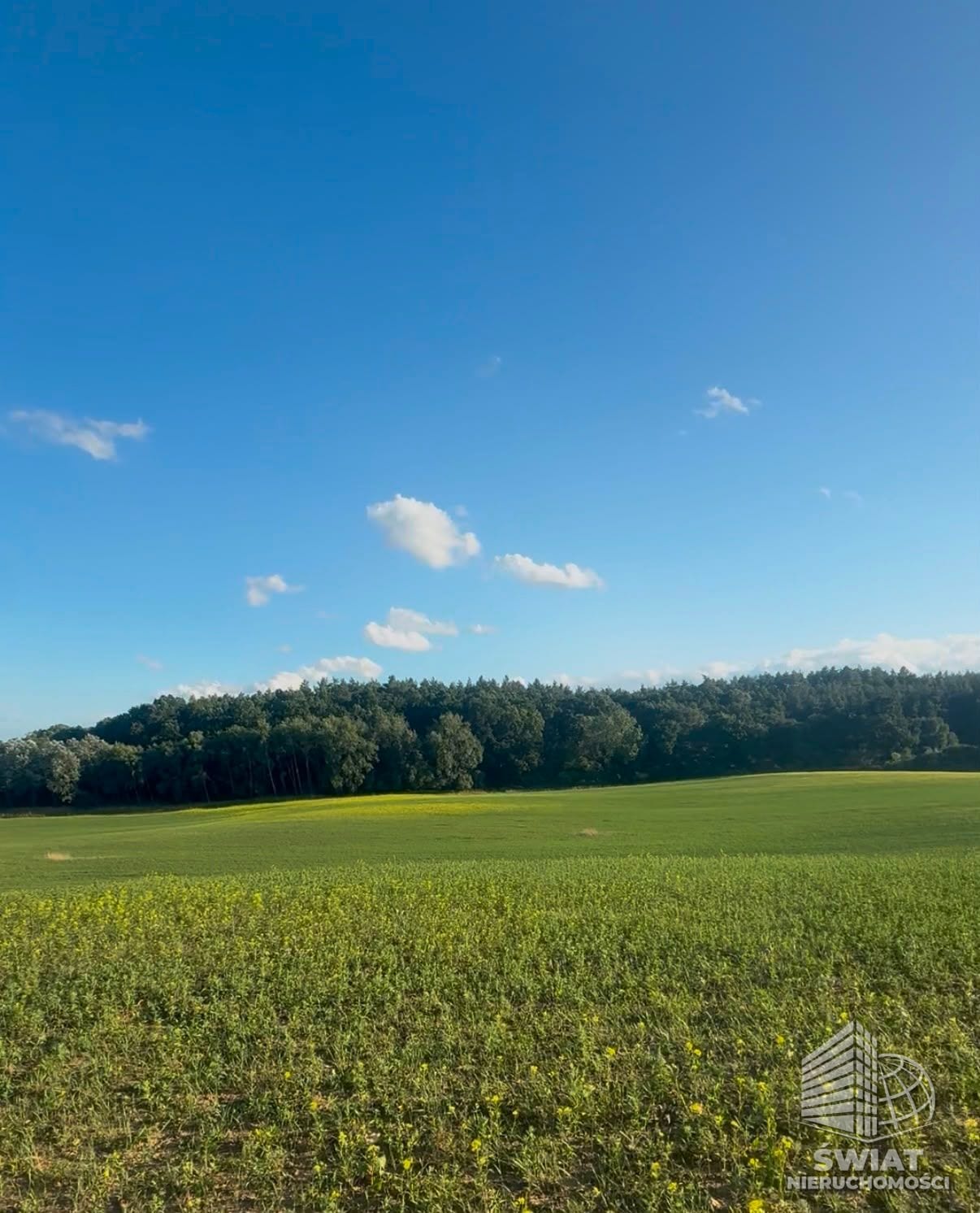 działka na sprzedaż - Buk,  - ID 442576 | swiatnieruchomosci.pl