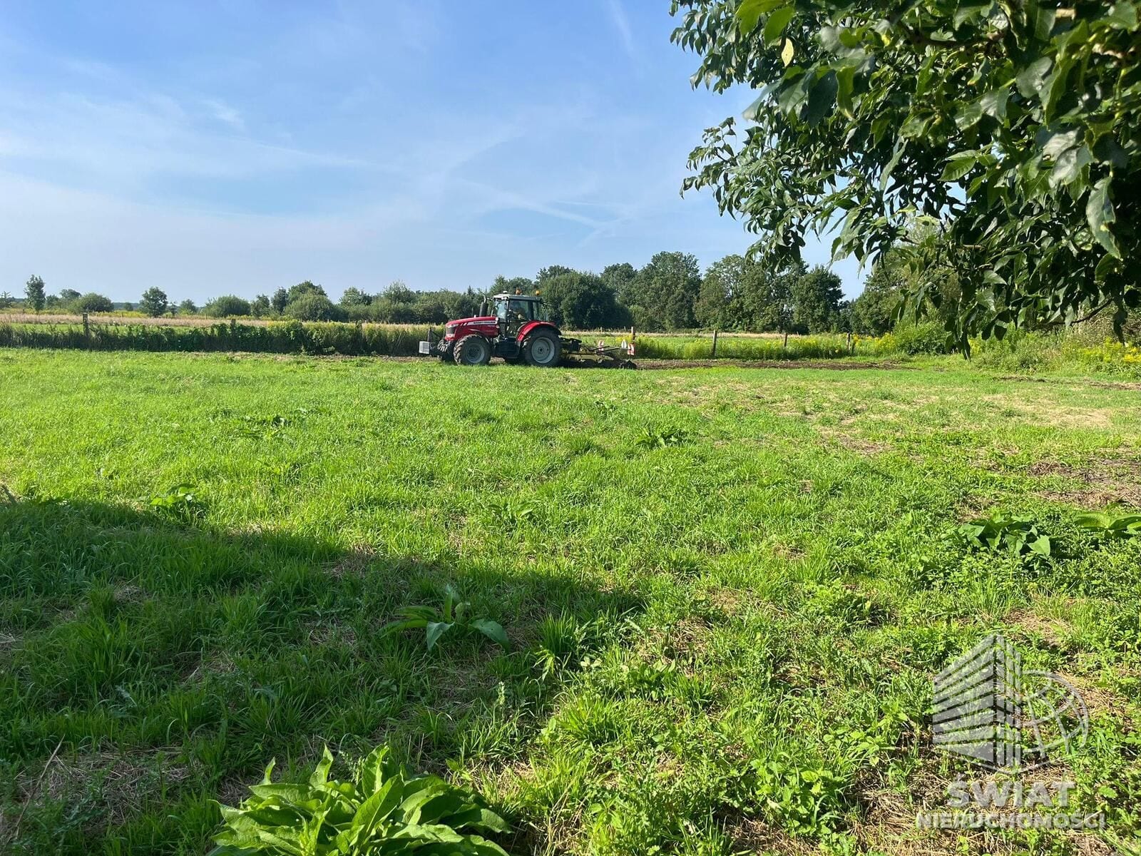 działka na sprzedaż - Rurzyca,  - ID 442671 | swiatnieruchomosci.pl
