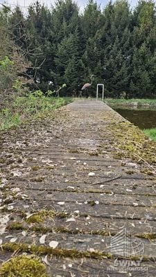 Dom na sprzedaż, Dobra (szczecińska) Sławoszewo, 5 pokoi, 767 m² — MOJ22049, zdjęcie 3