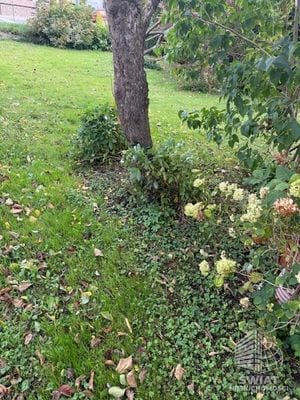 Dom na sprzedaż, Kamień Pomorski, 3 pokoje, 139 m² — PMR25466, zdjęcie 3