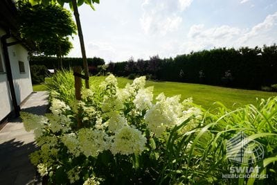 Dom na sprzedaż, Kobylanka Motaniec, 6 pokoi, 230 m² — CIE24082, zdjęcie 1
