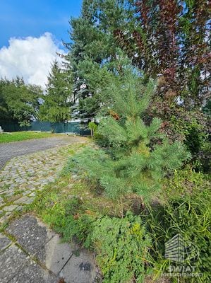 Dom na sprzedaż, Kołbaskowo Stobno, 11 pokoi, 428 m² — AVN22427, zdjęcie 3