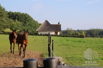 Dom na sprzedaż, Wolin Dobropole, 16 pokoi, 985 m² — BON48446, zdjęcie 1