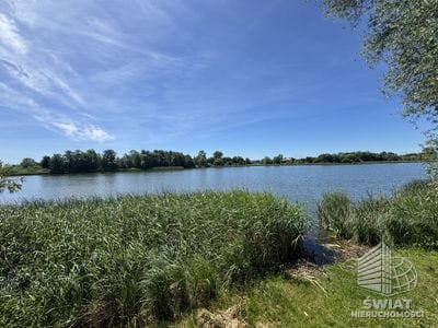 Działka na sprzedaż, Bielice Babin, 5219 m² — BON49570, zdjęcie 2