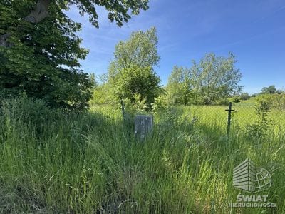 Działka na sprzedaż, Bielice Babin, 5219 m² — BON49570, zdjęcie 4