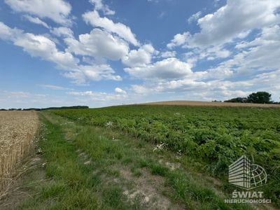 Działka na sprzedaż, Bielice, 2300 m² — MAP22797, zdjęcie 1