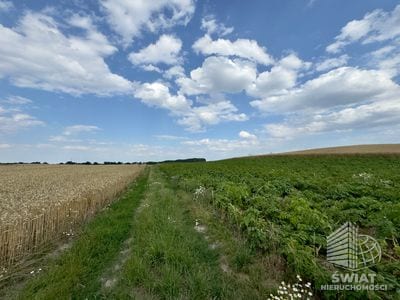 Działka na sprzedaż, Bielice, 2300 m² — MAP22797, zdjęcie 4