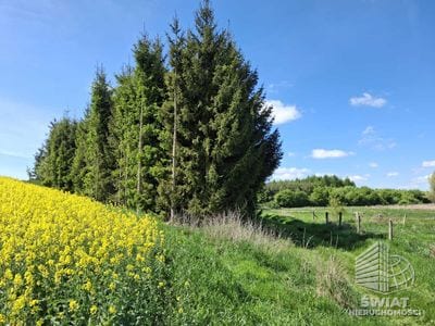 Działka na sprzedaż, Bielice Parsów, 9825 m² — MAP22997, zdjęcie 2