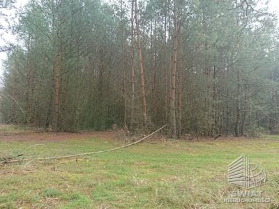 Działka na sprzedaż, Bierzwnik Starzyce, 4818 m² — INB20391, zdjęcie 1