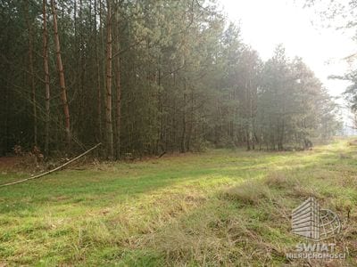 Działka na sprzedaż, Bierzwnik Starzyce, 4818 m² — INB20391, zdjęcie 4