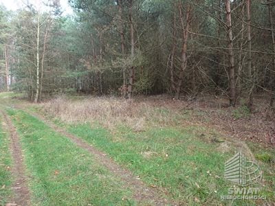 Działka na sprzedaż, Bierzwnik Starzyce, 4818 m² — INB20391, zdjęcie 5