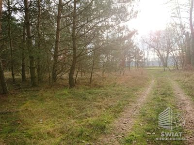 Działka na sprzedaż, Bierzwnik Starzyce, 4818 m² — INB20391, zdjęcie 6