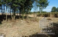 Działka na sprzedaż, Bierzwnik Zieleniewo, 11403 m² — IDN34085, zdjęcie 2