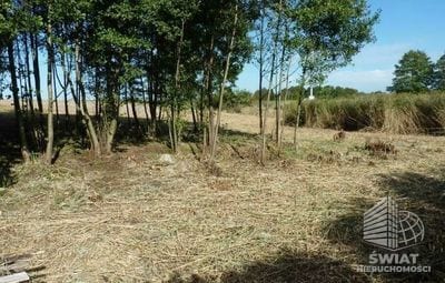 Działka na sprzedaż, Bierzwnik Zieleniewo, 11403 m² — IDN34085, zdjęcie 2
