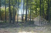 Działka na sprzedaż, Bierzwnik Zieleniewo, 11403 m² — IDN34085, zdjęcie 5