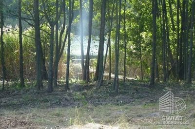 Działka na sprzedaż, Bierzwnik Zieleniewo, 11403 m² — IDN34085, zdjęcie 5