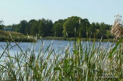 Działka na sprzedaż, Bierzwnik Zieleniewo, 11403 m² — IDN34085, zdjęcie 6