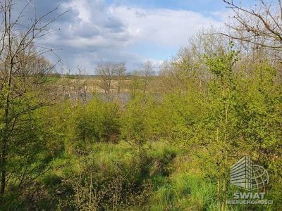 Działka na sprzedaż, Bierzwnik Zieleniewo, 1124 m² — INB20554, zdjęcie 5