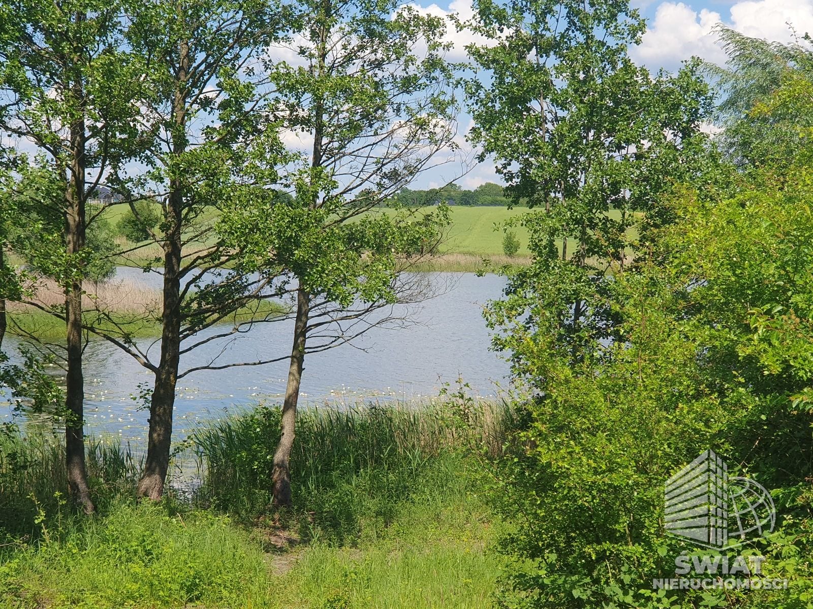 Działka na sprzedaż, Bierzwnik Zieleniewo, 3030 m² — INB20564, zdjęcie 1