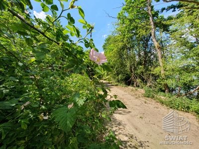 Działka na sprzedaż, Bierzwnik Zieleniewo, 3030 m² — INB20564, zdjęcie 5