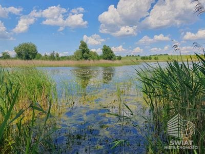 Działka na sprzedaż, Bierzwnik Zieleniewo, 3031 m² — INB20565, zdjęcie 2