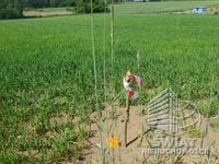 Działka na sprzedaż, Bierzwnik Zieleniewo, 3031 m² — INB20565, zdjęcie 5