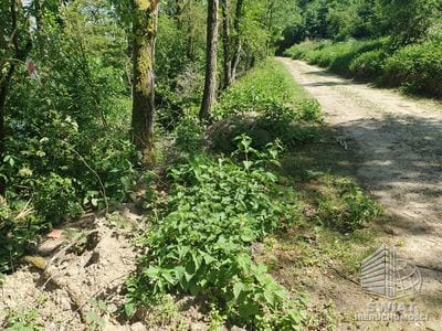 Działka na sprzedaż, Bierzwnik Zieleniewo, 3030 m² — INB20566, zdjęcie 4