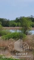 Działka na sprzedaż, Bierzwnik Zieleniewo, 3031 m² — INB20567, zdjęcie 3