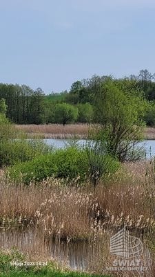 Działka na sprzedaż, Bierzwnik Zieleniewo, 3031 m² — INB20567, zdjęcie 3