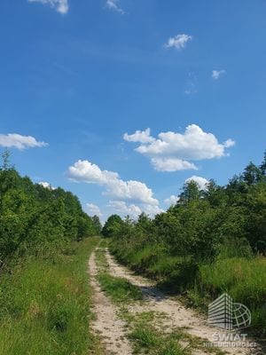 Działka na sprzedaż, Bierzwnik Zieleniewo, 3030 m² — INB20568, zdjęcie 3