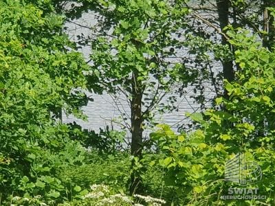 Działka na sprzedaż, Bierzwnik Zieleniewo, 3030 m² — INB20568, zdjęcie 5