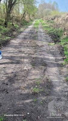 Działka na sprzedaż, Bierzwnik Zieleniewo, 3030 m² — INB20568, zdjęcie 6