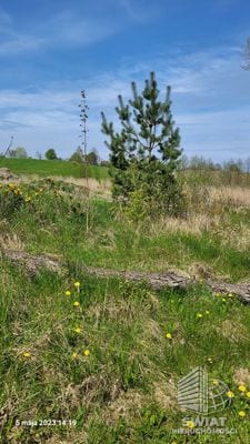 Działka na sprzedaż, Bierzwnik Zieleniewo, 3030 m² — INB20569, zdjęcie 3