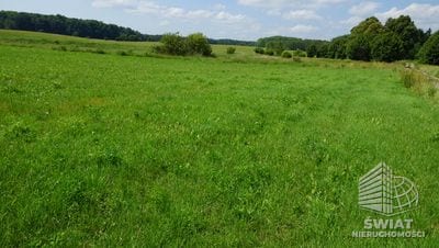 Działka na sprzedaż, Bobolice, 23103 m² — INW29731, zdjęcie 2