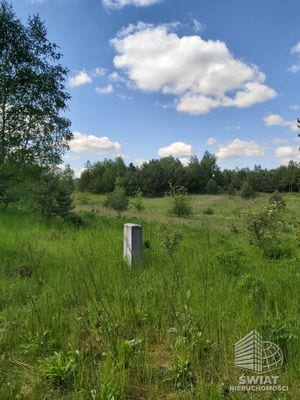 Działka na sprzedaż, Borne Sulinowo Dąbrowica, 1115 m² — LGR21897, zdjęcie 3