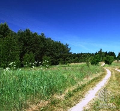 Działka na sprzedaż, Borne Sulinowo Komorze, 3500 m² — CIE23566, zdjęcie 3