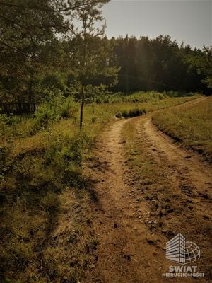 Działka na sprzedaż, Borne Sulinowo Komorze, 3500 m² — CIE23566, zdjęcie 5
