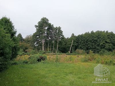Działka na sprzedaż, Chojna, 2847 m² — ROY03716, zdjęcie 4