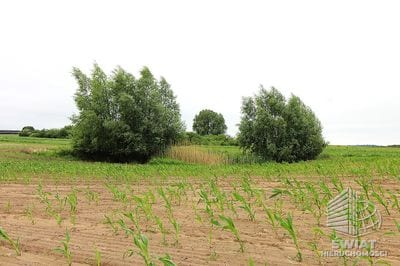 Działka na sprzedaż, Choszczno Gleźno, 30900 m² — HES29336, zdjęcie 2
